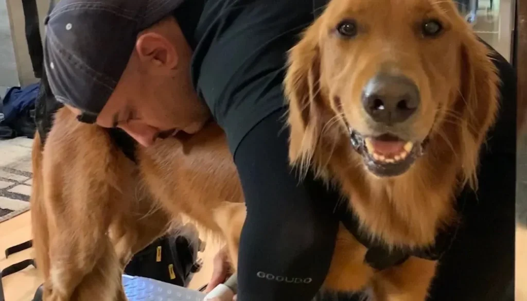 D.O.G Nails