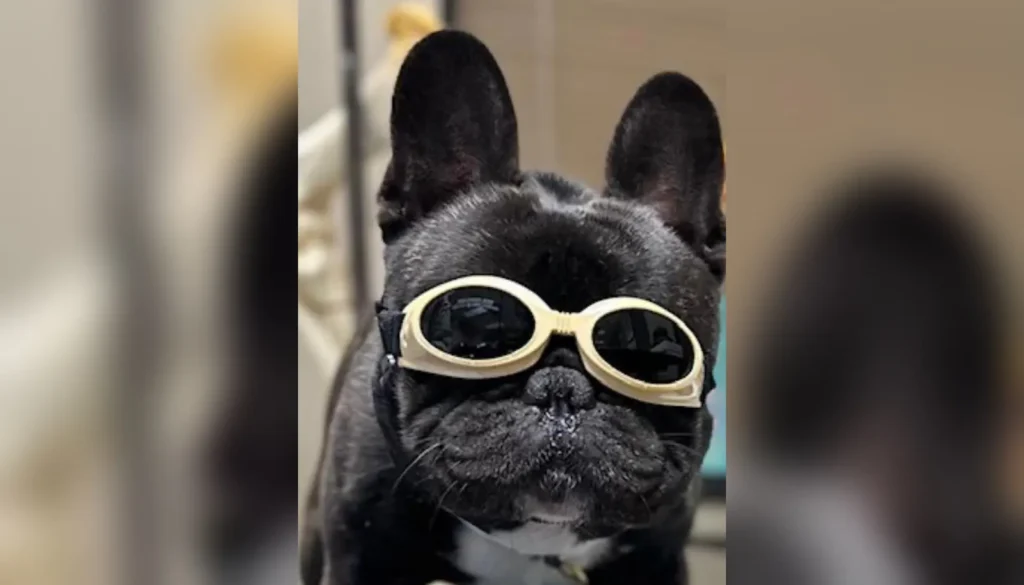 Laser Therapy