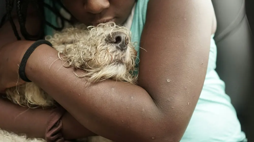 Person hugging a fluffy dog close