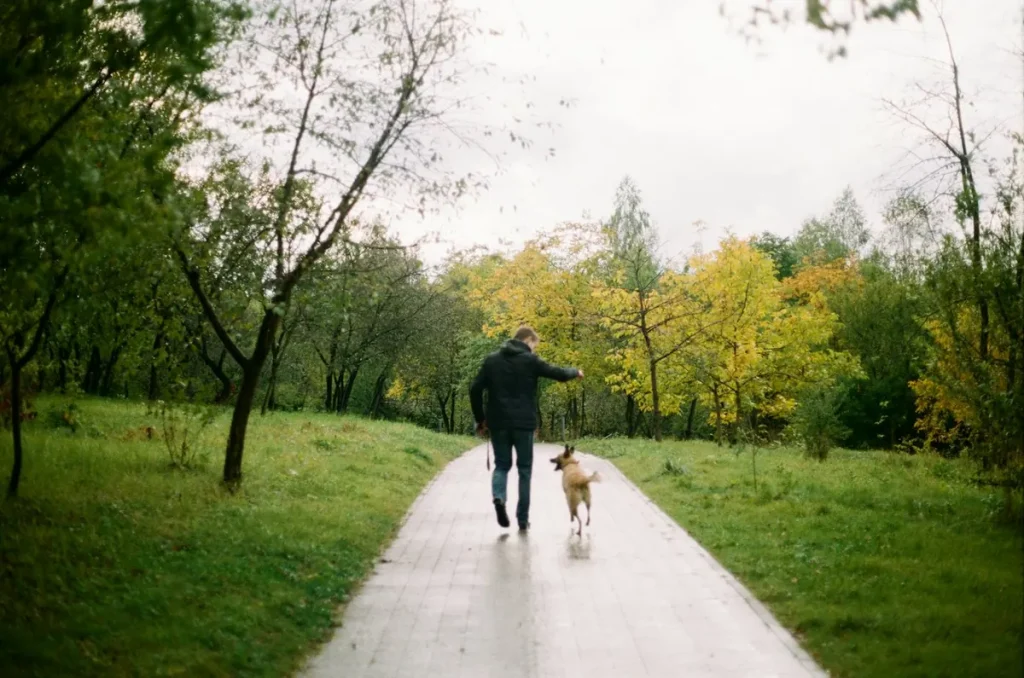 Person walking a small dog along a tree-lined park path