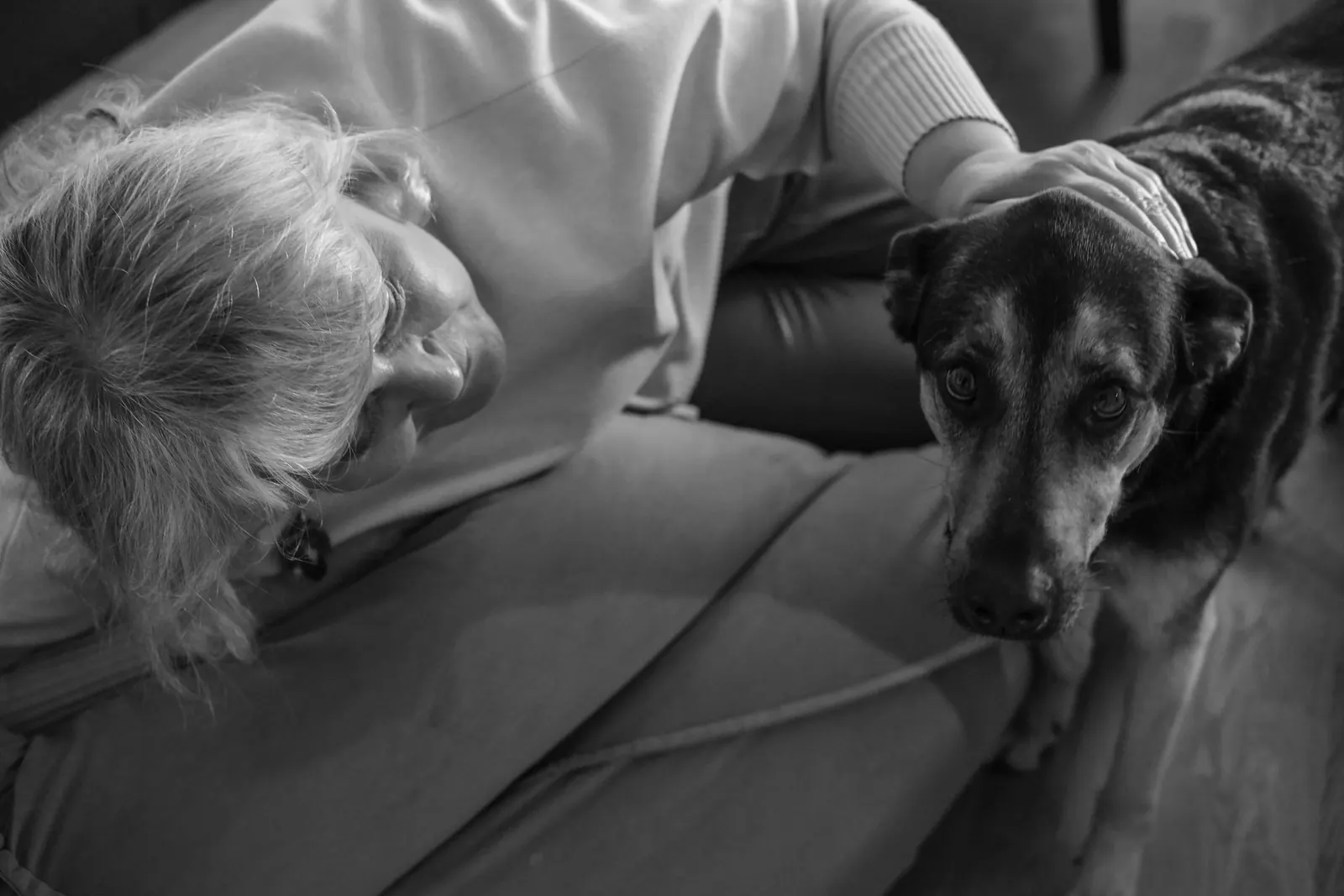 Black and white photo of a woman resting beside her senior dog on a couch