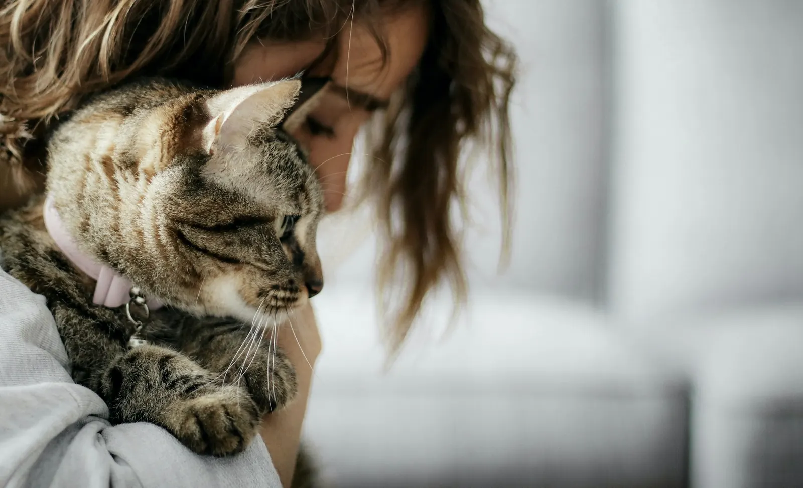 Woman cuddling a tabby cat close to her face