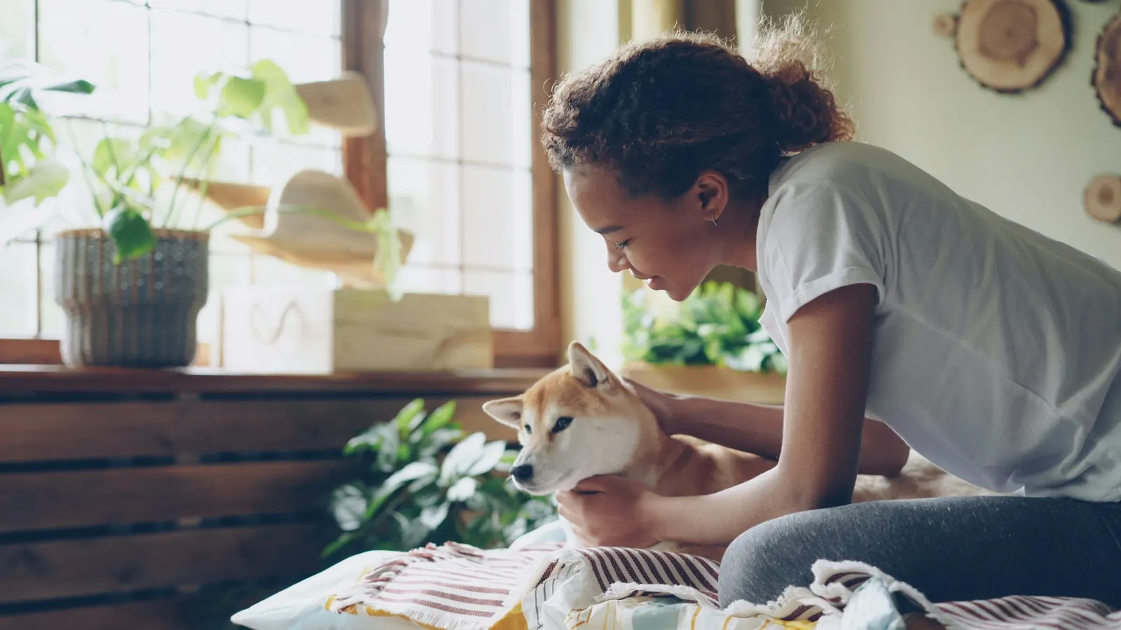 Woman relaxing with her small dog at a sunny desk